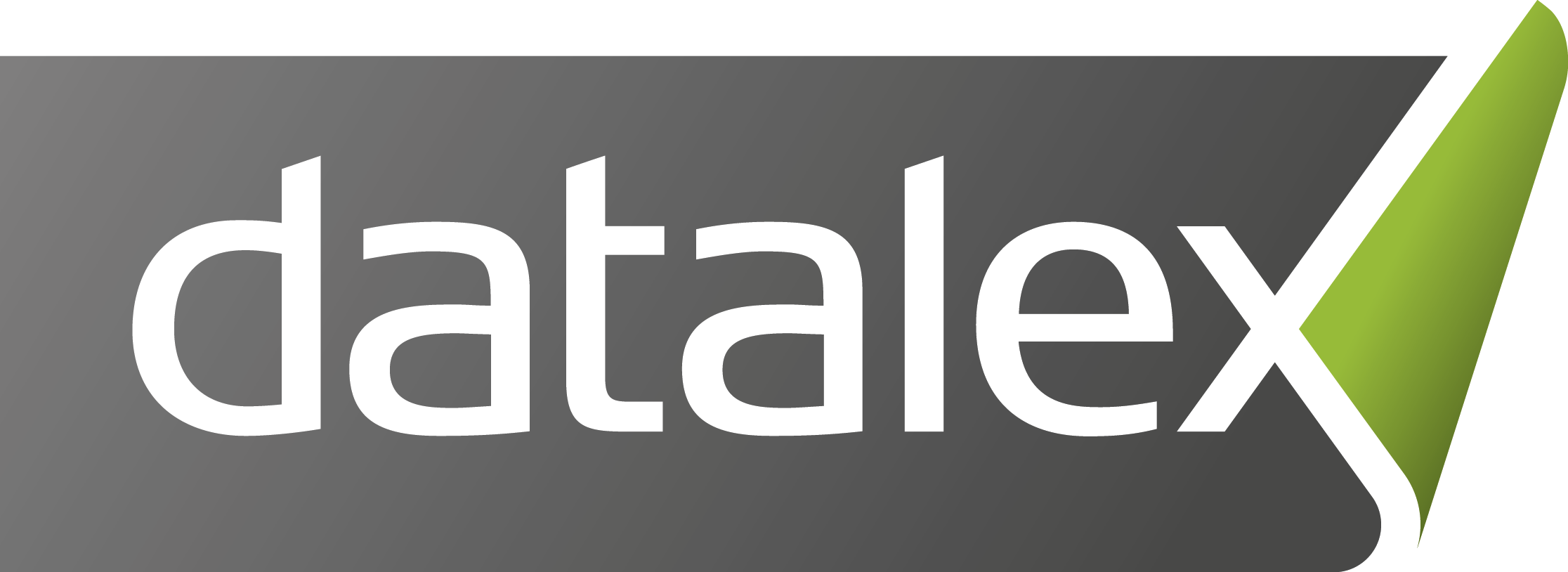 datalex logo stor